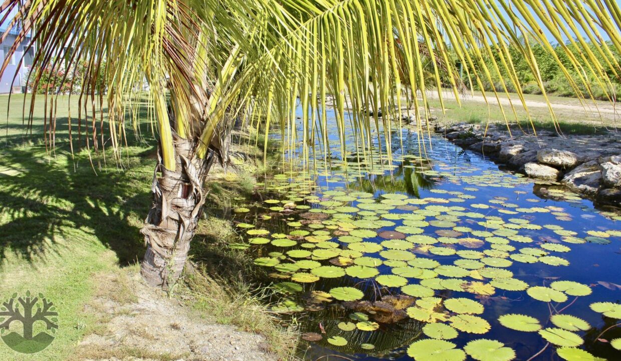 canal_backyard