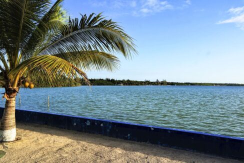 community_park_b