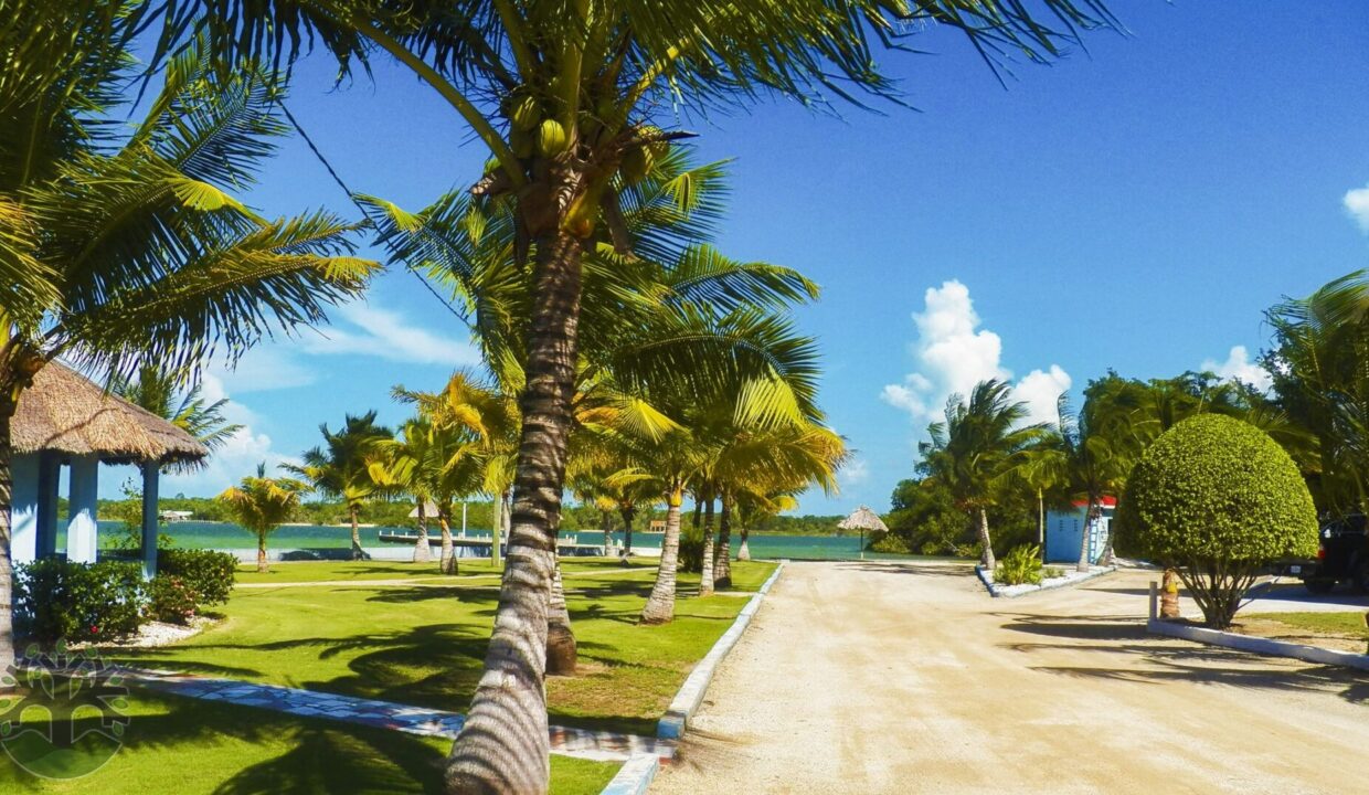 community_park_c