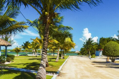 community_park_c