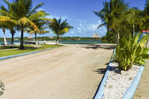 community_park_d