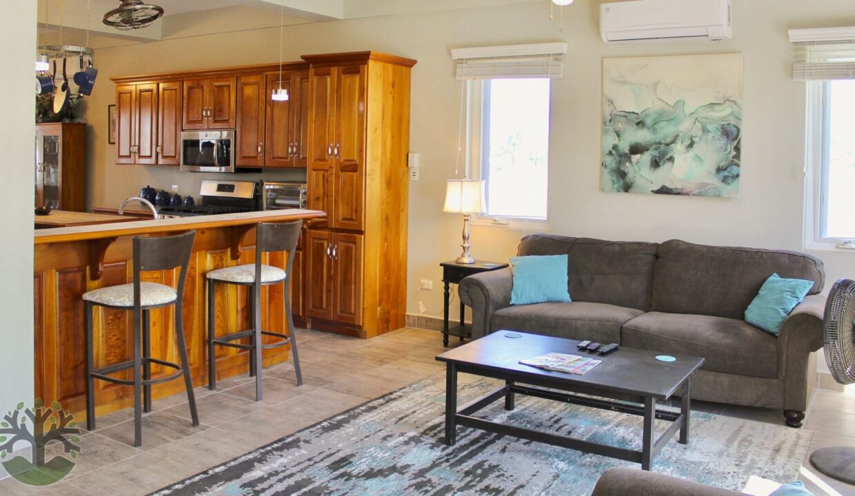 living_kitchen