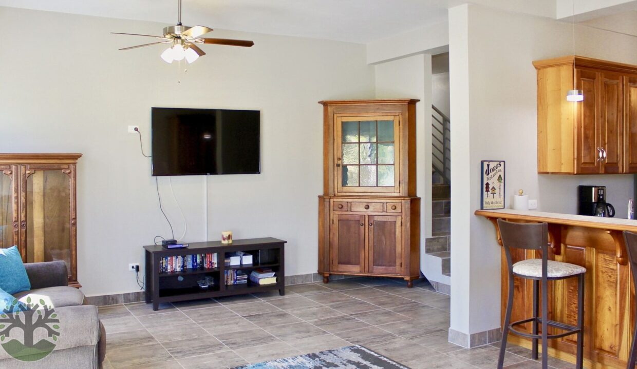 living_room