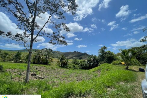 10-acre-Acai-Farm-view-01-scaled