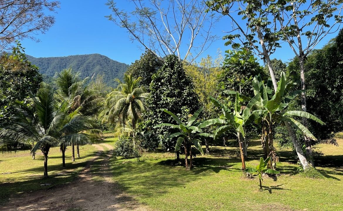 11-BUNKHOUSE-HOSTEL-VIEW-01