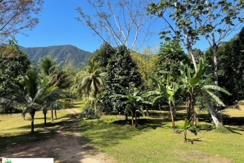 11-BUNKHOUSE-HOSTEL-VIEW-01