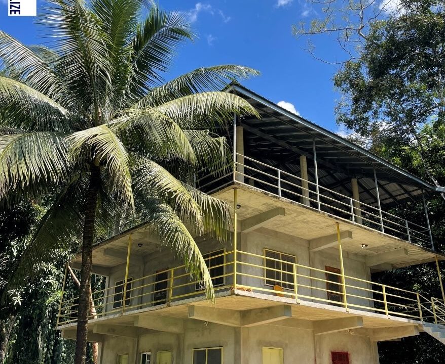 14-3-STORY-CONCRETE-HOUSE-FACADE-02-rotated
