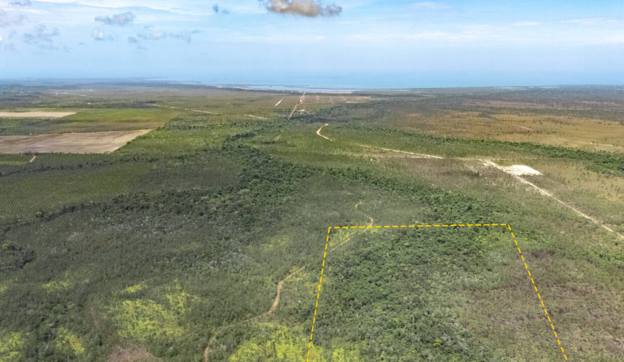 15020Acres20off20Southern20Highway2004