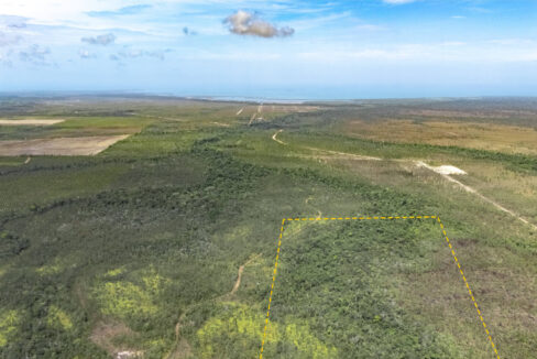 15020Acres20off20Southern20Highway2004