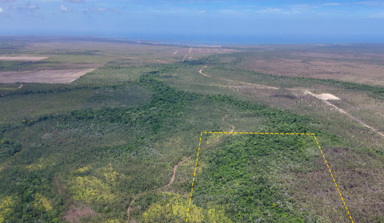 15020Acres20off20Southern20Highway2005