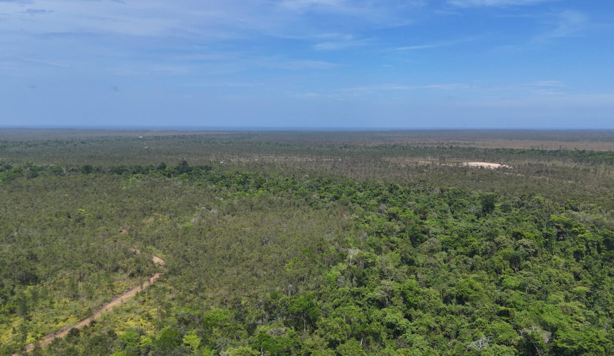 15020Acres20off20Southern20Highway2008