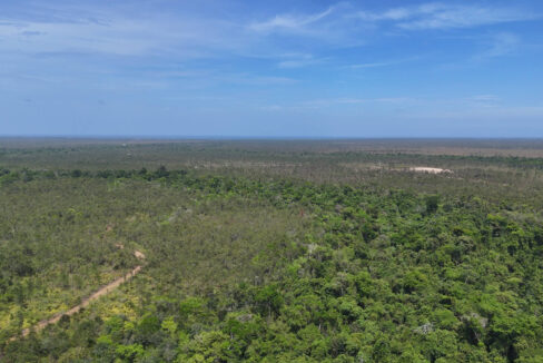 15020Acres20off20Southern20Highway2008