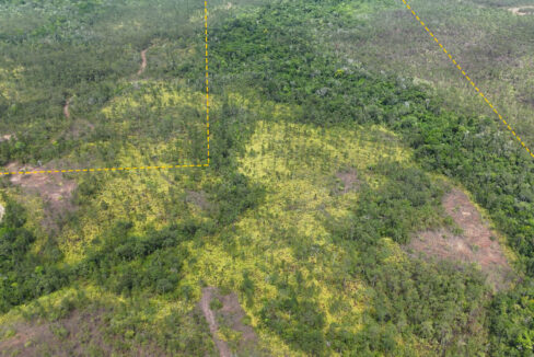 15020Acres20off20Southern20Highway2011