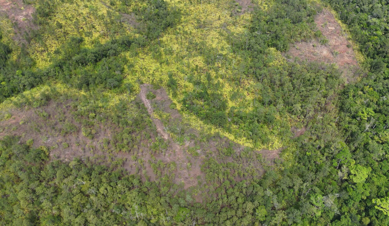15020Acres20off20Southern20Highway2013