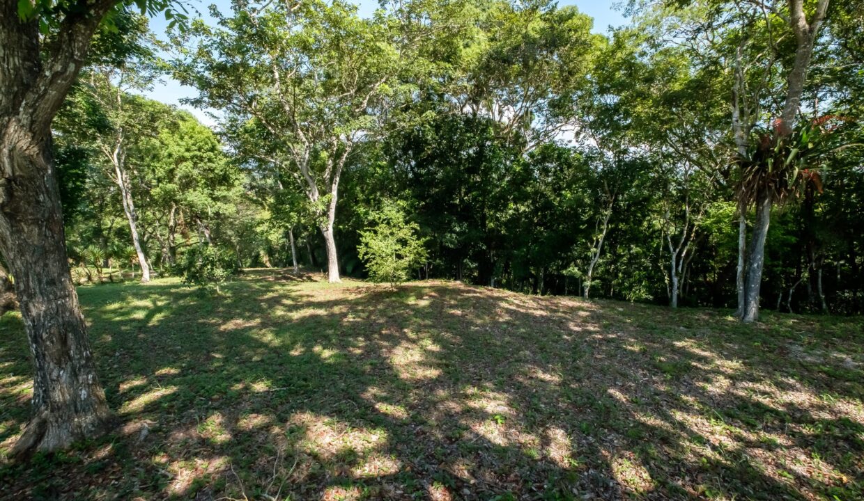 29-Acres-Clearing-September_2025-LIGH9845-HDR-scaled