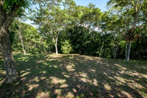 29-Acres-Clearing-September_2025-LIGH9845-HDR-scaled