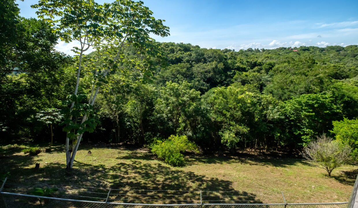 29-Acres-Clearing-September_2025-LIGH9881-HDR-scaled