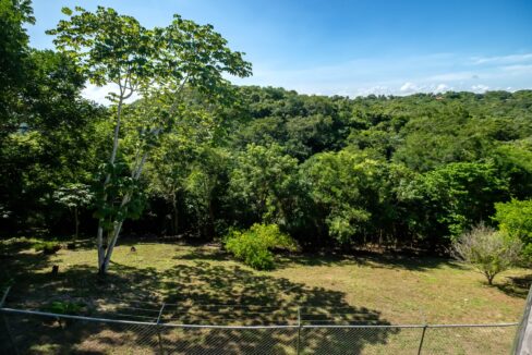29-Acres-Clearing-September_2025-LIGH9881-HDR-scaled