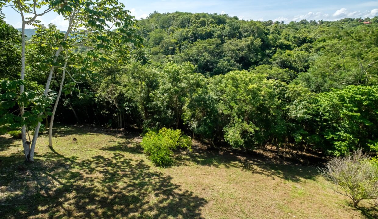 29-Acres-Clearing-September_2025-LIGH9899-HDR-scaled