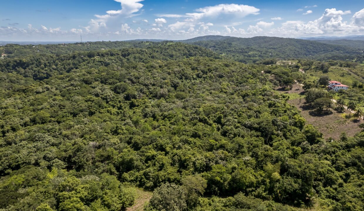 29-Acres-Drone-September_2025-DJI_0093-HDR-scaled