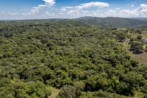 29-Acres-Drone-September_2025-DJI_0093-HDR-scaled
