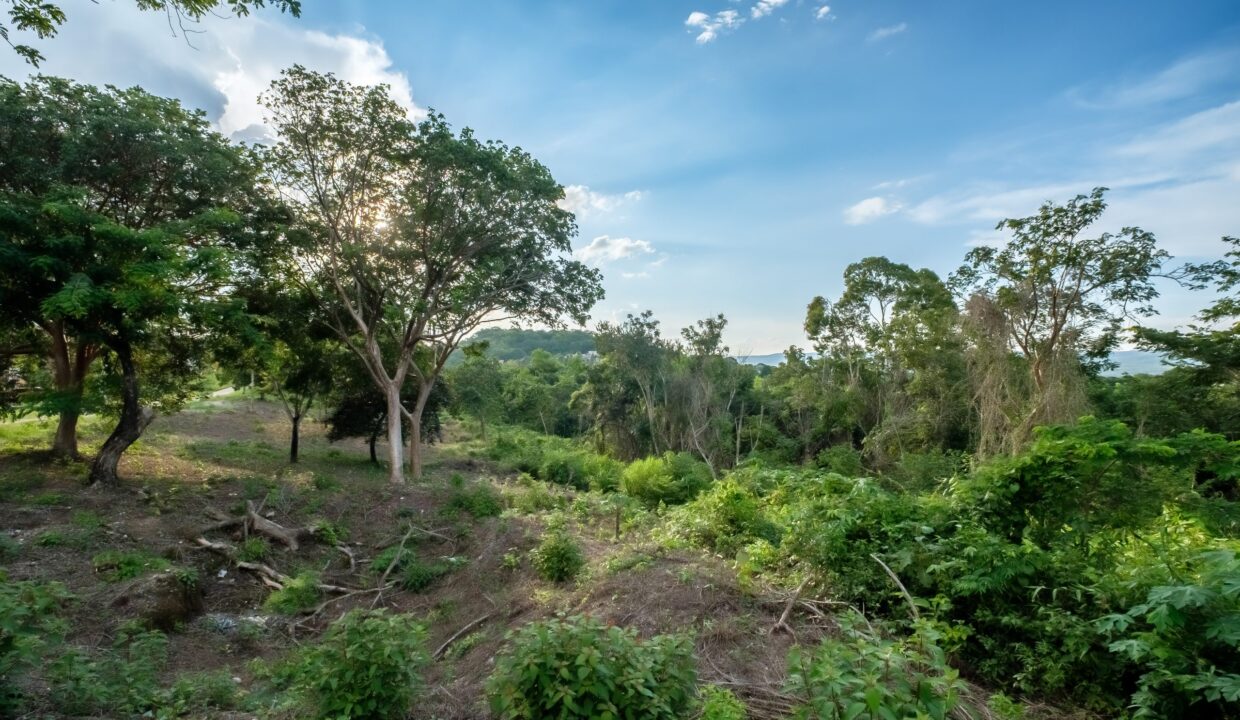 29-Acres-Ground-Shots-September_2025-LIGH9746-HDR-scaled