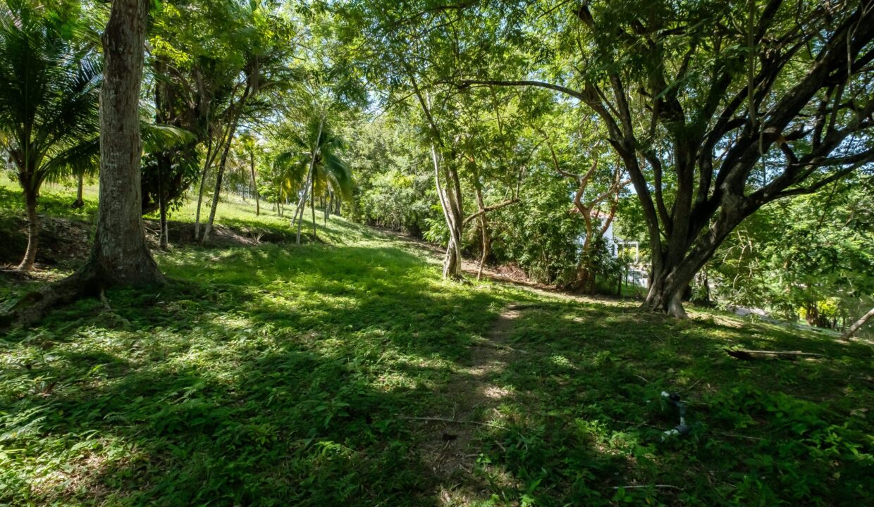 29-Acres-Road-September_2025-LIGH9935-HDR-scaled