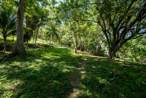 29-Acres-Road-September_2025-LIGH9935-HDR-scaled