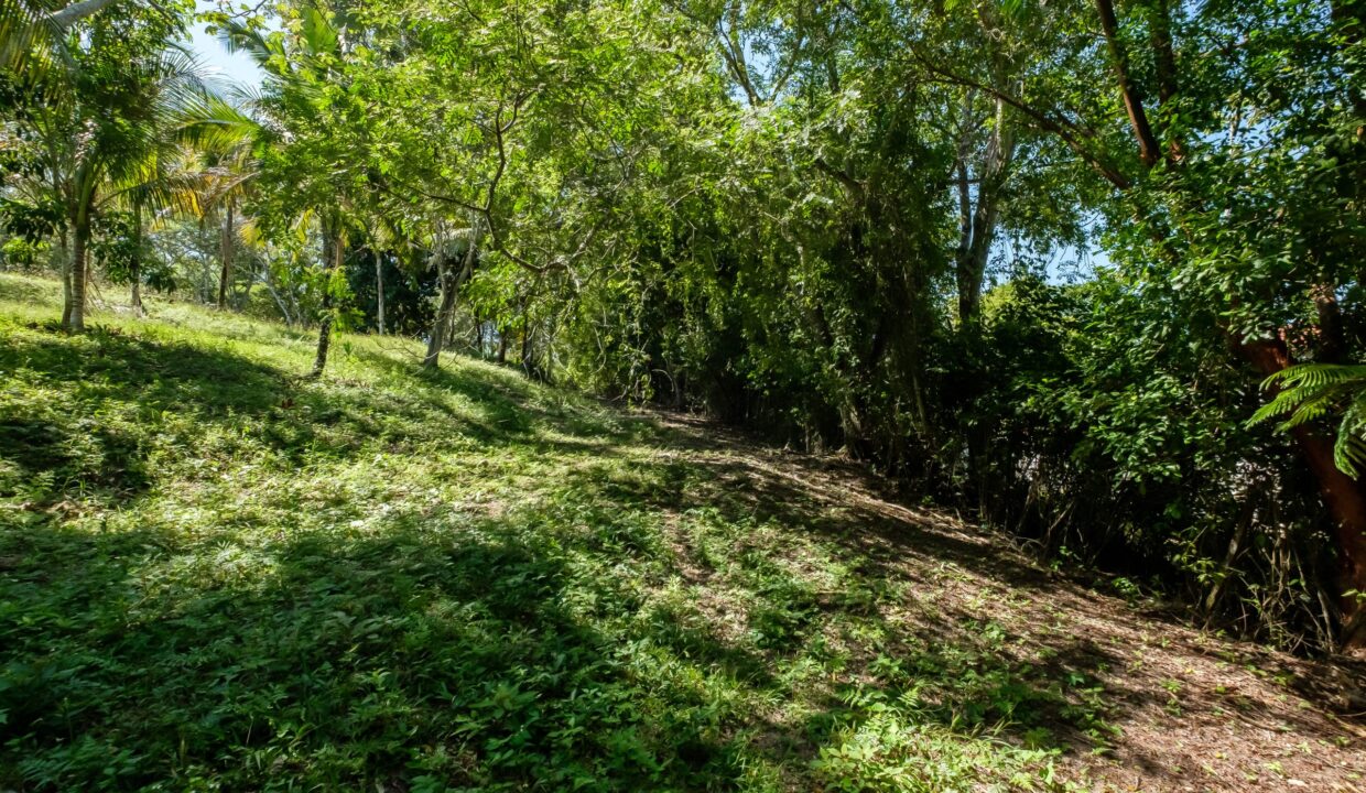 29-Acres-Road-September_2025-LIGH9971-HDR-scaled