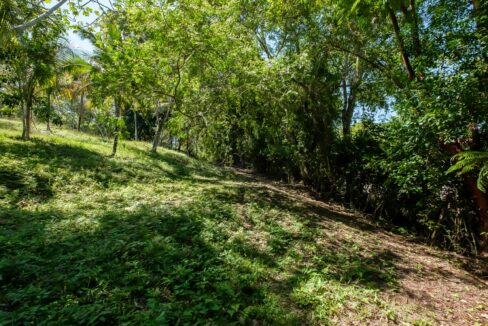 29-Acres-Road-September_2025-LIGH9971-HDR-scaled