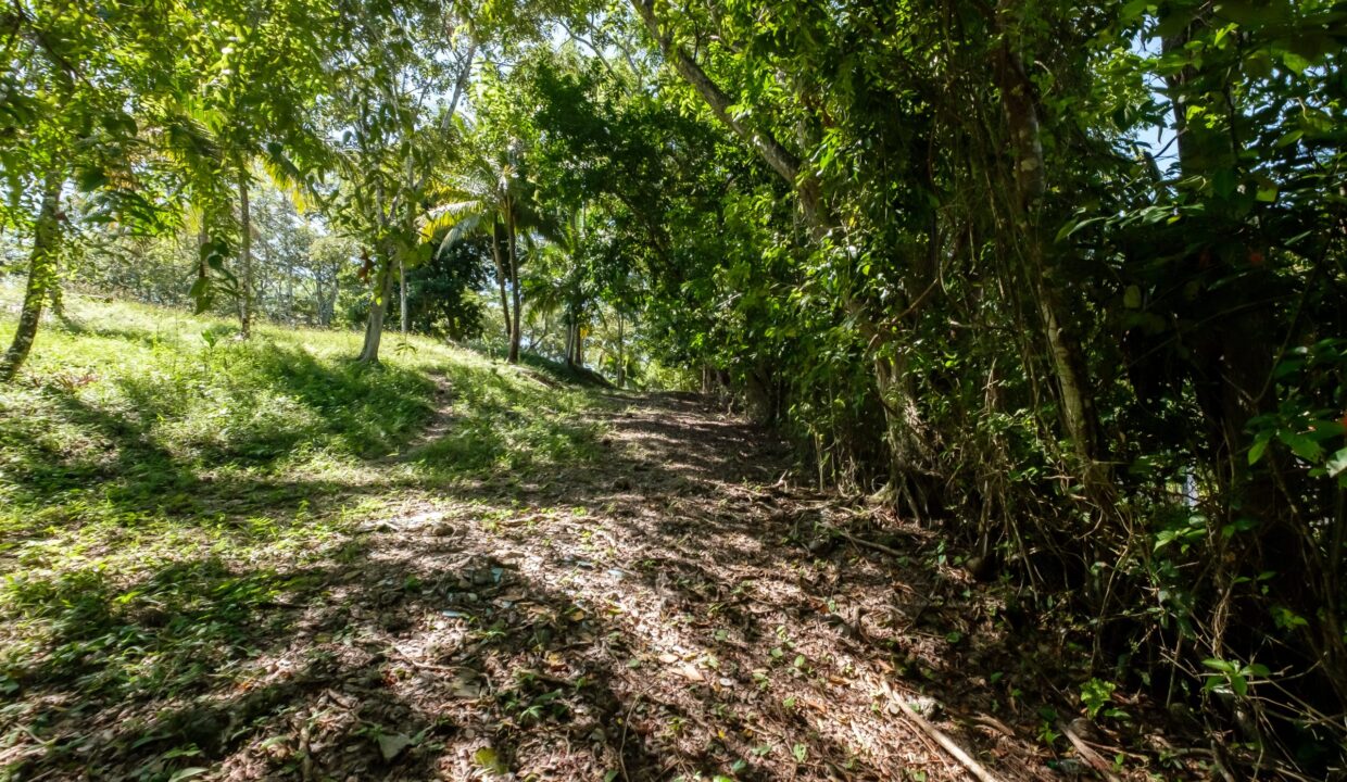 29-Acres-Road-September_2025-LIGH9980-HDR-scaled