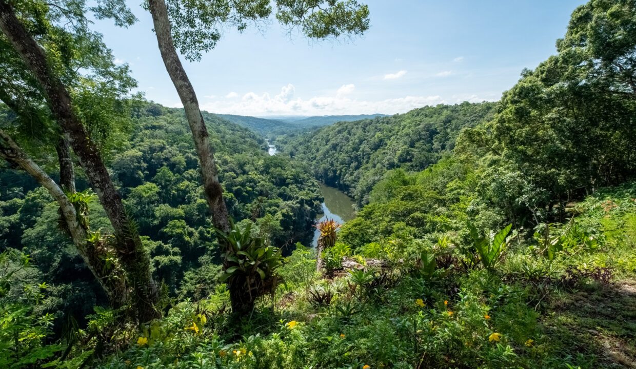 29-Acres-View-September_2025-LIGH9773-HDR-scaled