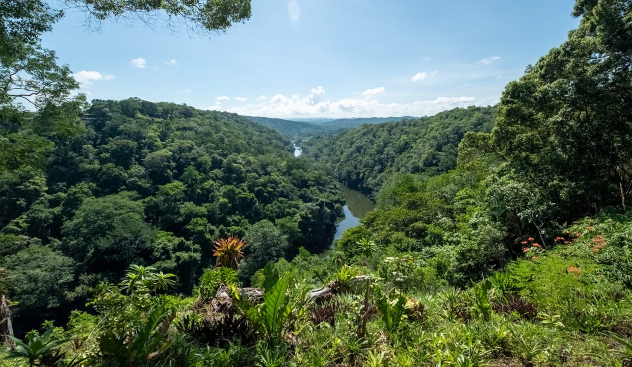29-Acres-View-September_2025-LIGH9791-HDR-scaled