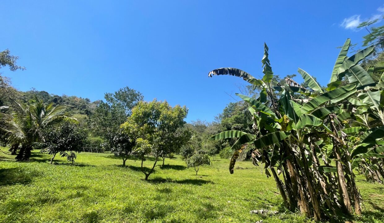 30-PR-H111-GARDENS-scaled