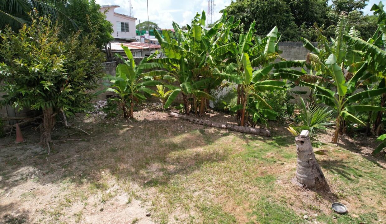 DJI_0124