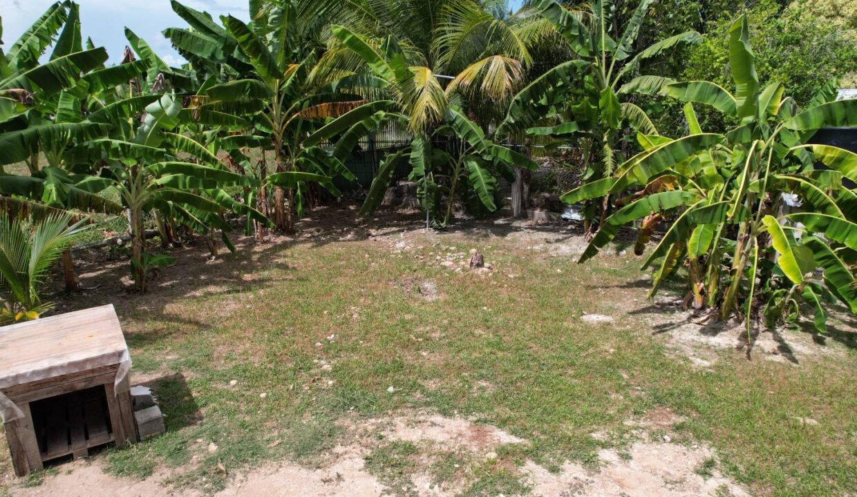 DJI_0127