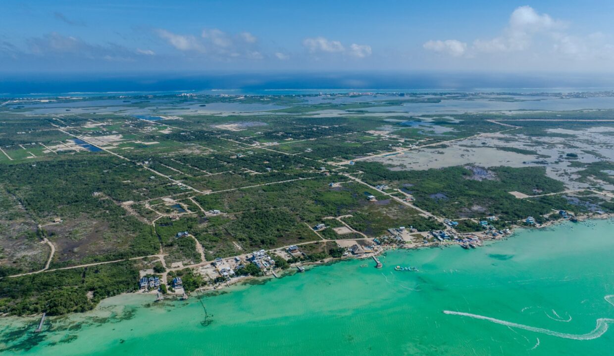 DJI_0272-1-scaled