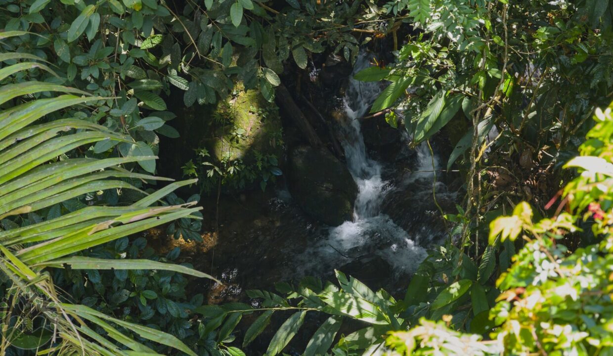 DJI_20250925132549_0089_D