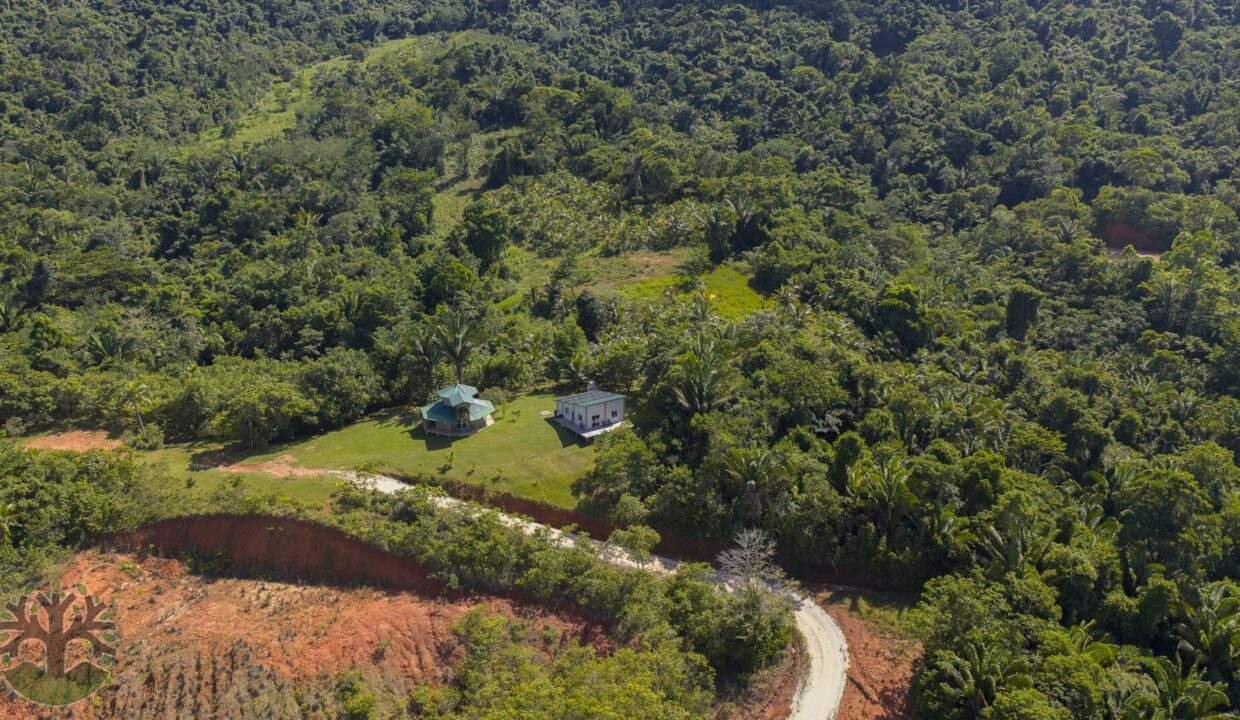 DJI_20250925141633_0190_D
