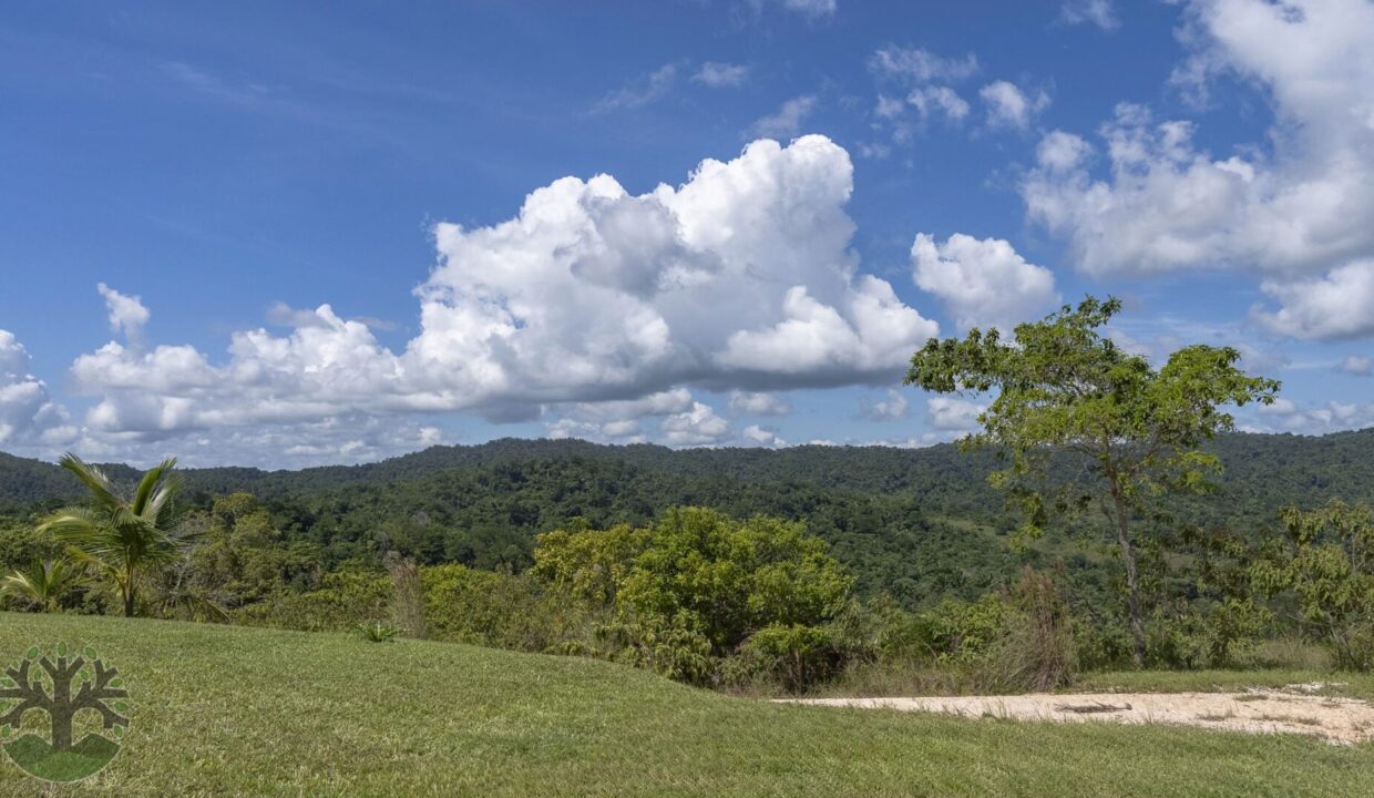 DSC_4346-HDR