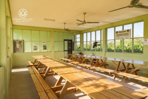 PF0042-Cafeteria-inside-scaled-1-768x512