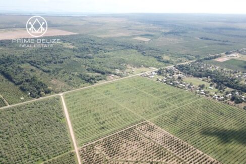 PF0042-Maya-Center-Farm-Aerial2-768x576