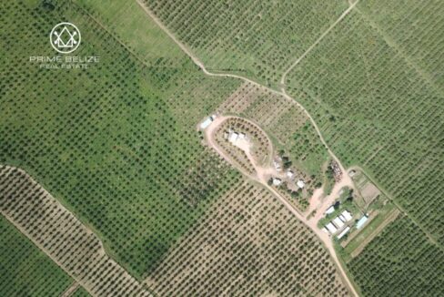 PF0042-Maya-Center-Farm-and-facilities-scaled-1-768x576