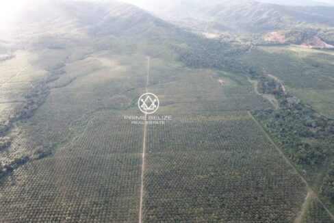 PF0042-TexStar-Farm-Aerial2-768x576