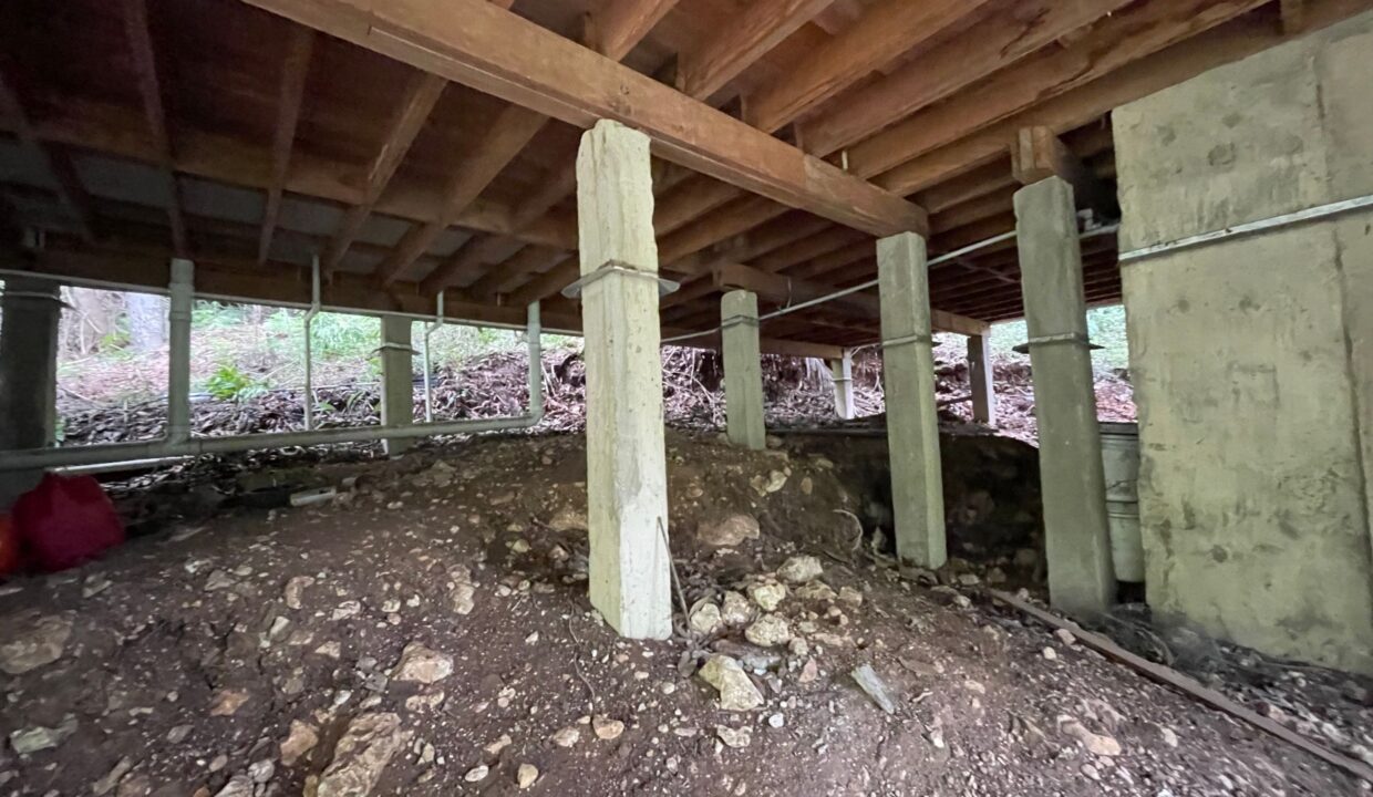 PR-H112-05-Under-the-house-02-scaled