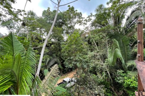 PR-H112-24-Jungle-view-01-scaled