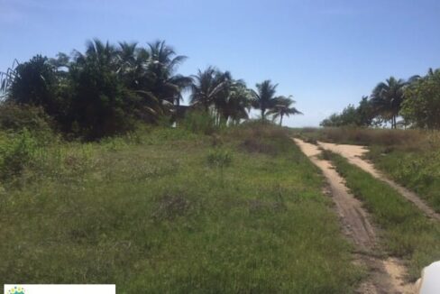 Picture-6
