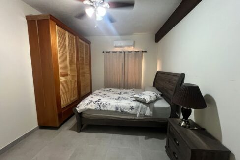 jpg (28)