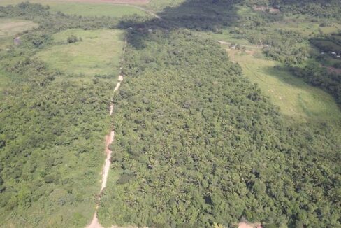 3350_DJI_0306