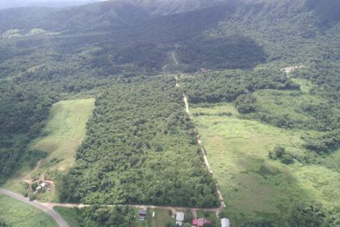 3350_DJI_0316
